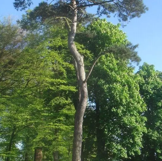 Hotelli Chateau De Janville