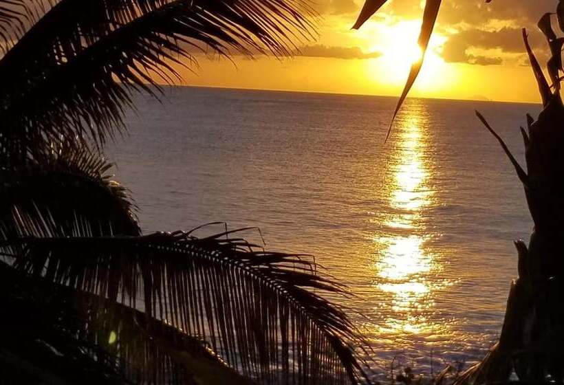 هتل Orrie S Beach Bar And