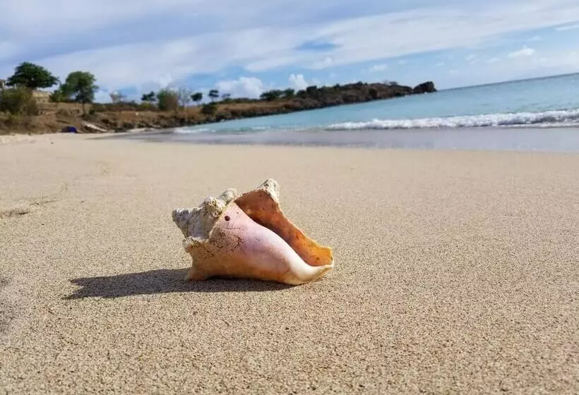 هتل Orrie S Beach Bar And