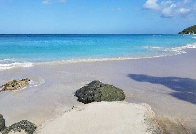 هتل Orrie S Beach Bar And