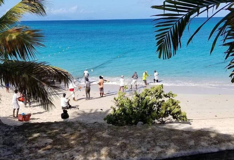 هتل Orrie S Beach Bar And