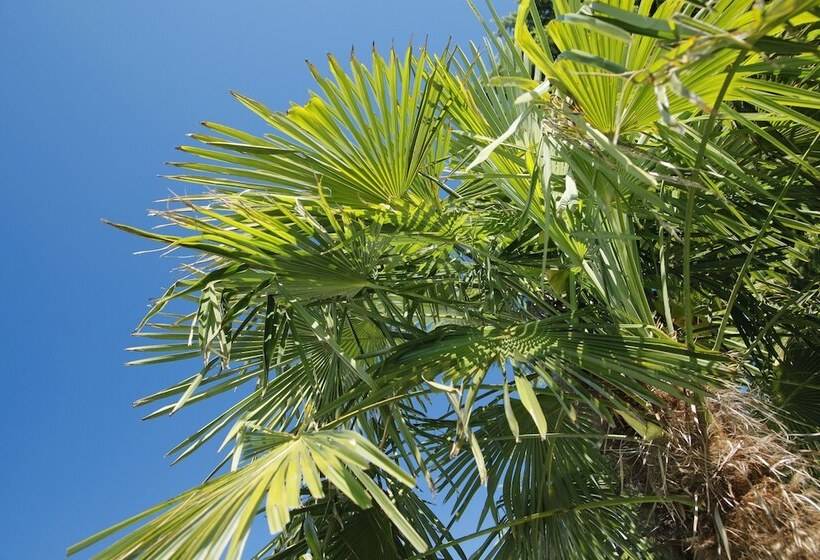 Jardis Boutiquehotel Adult Only