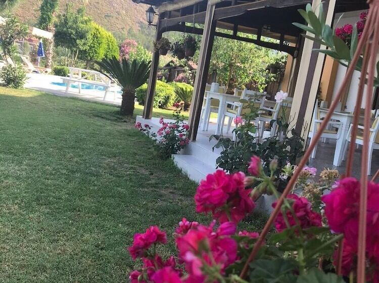 پانسیون Ada Boutique