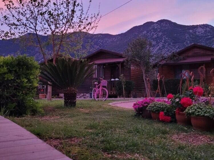 پانسیون Ada Boutique