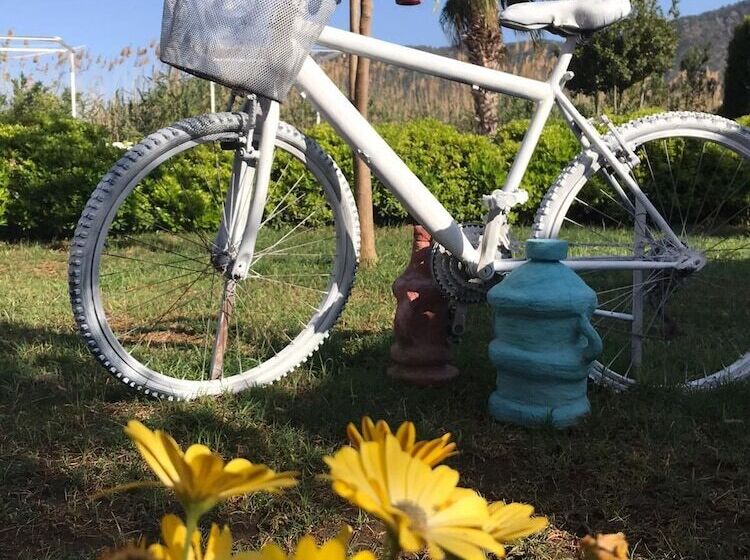 پانسیون Ada Boutique