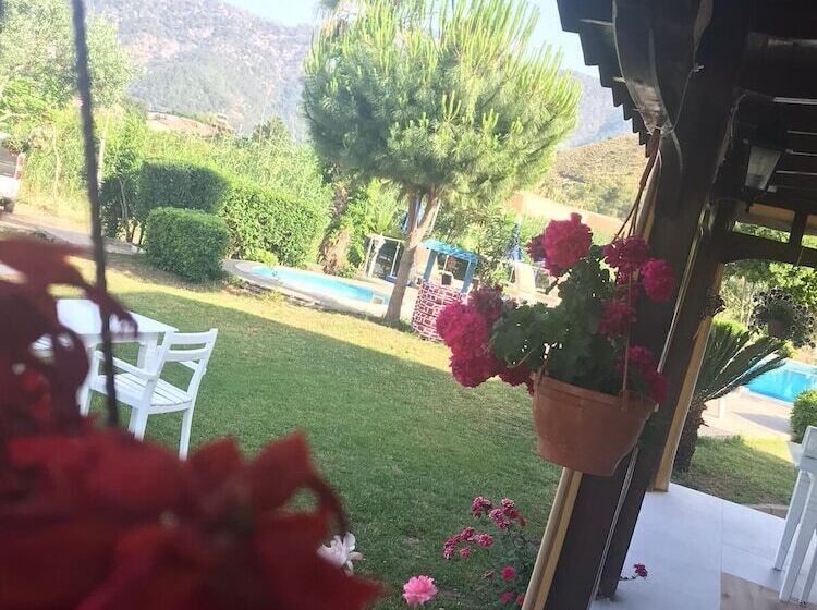 پانسیون Ada Boutique