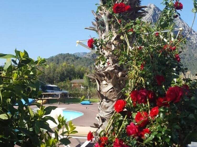 پانسیون Ada Boutique