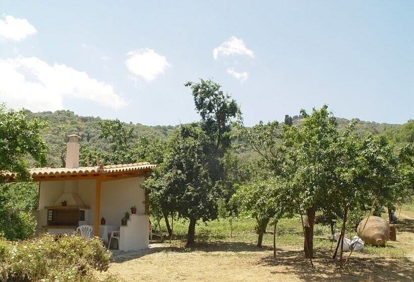 پانسیون Christos Guesthouse