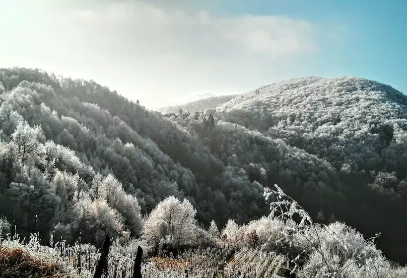 Majatalo Discover The Magic Of Nature