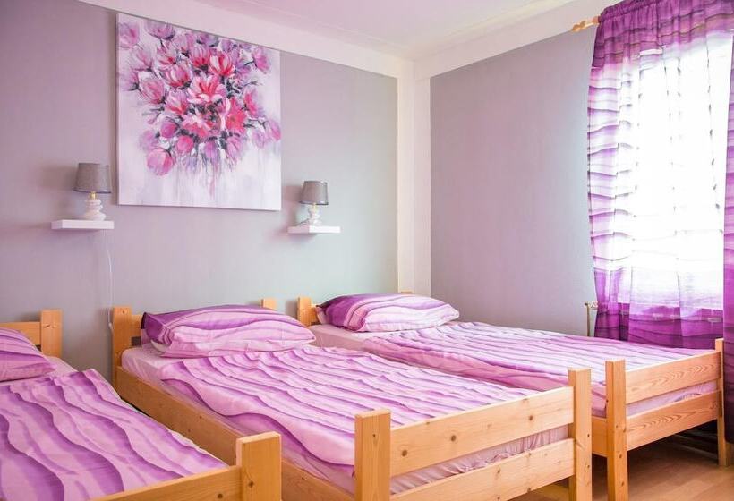 ペンション Discover The Magic Of Nature