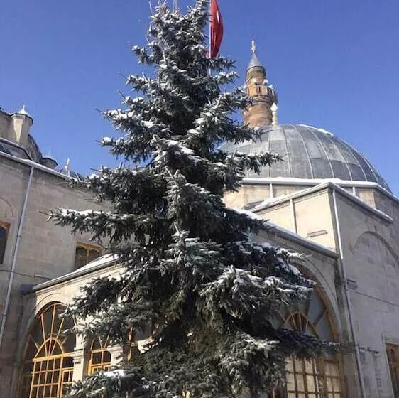 پانسیون Mavi Ladin Konukevi