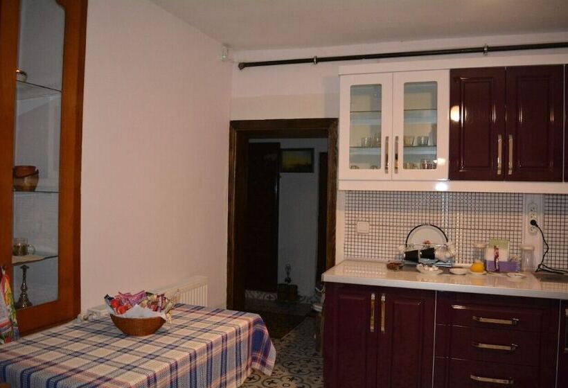 膳宿费 Mavi Ladin Konukevi