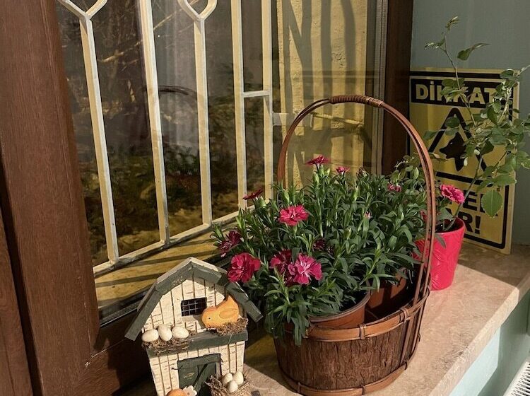 膳宿费 Mavi Ladin Konukevi