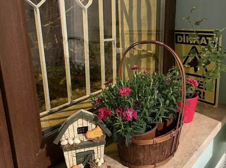 پانسیون Mavi Ladin Konukevi