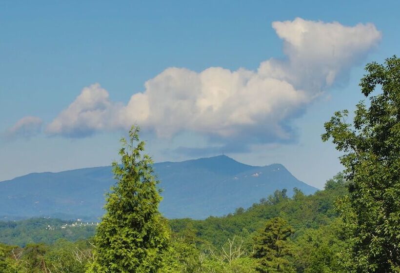 Sun Sational View #245