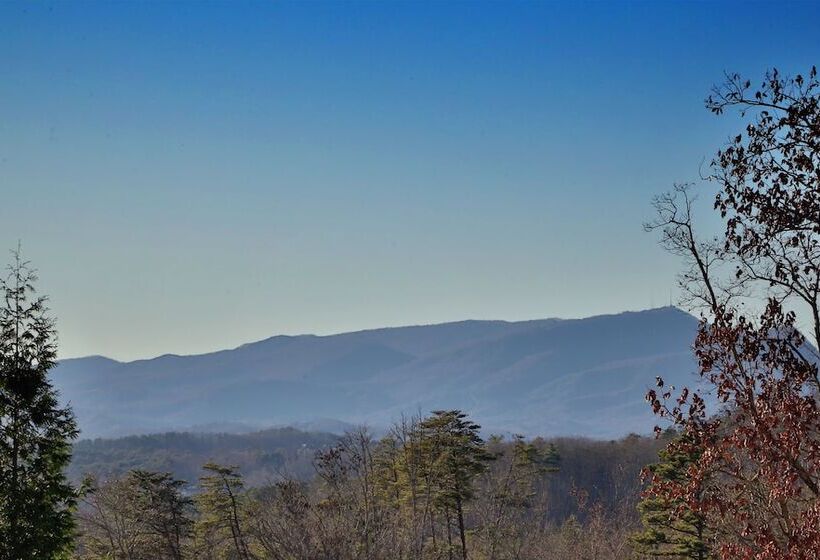 Sun Sational View #245