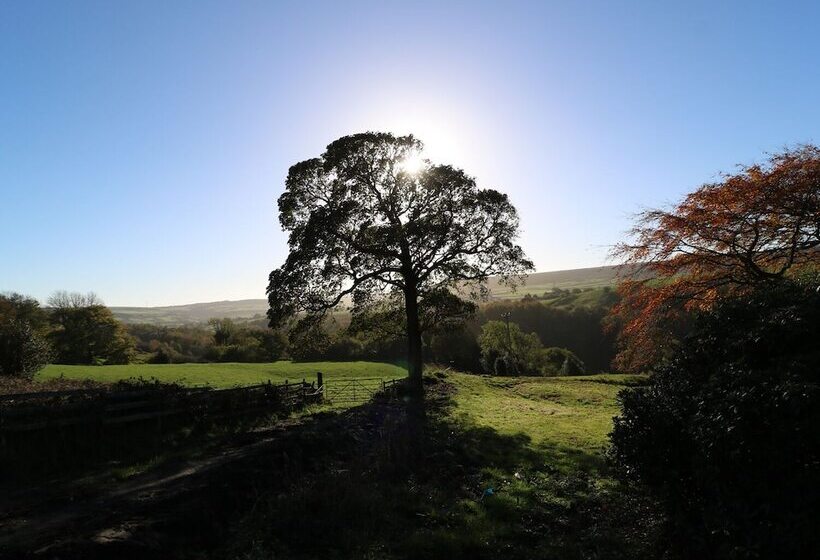 The Cottage, Beeston Hall