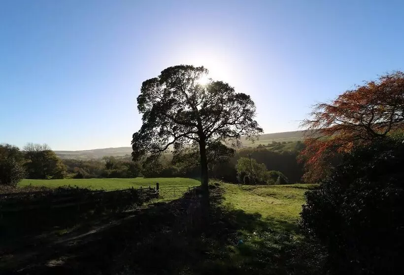 The Cottage, Beeston Hall