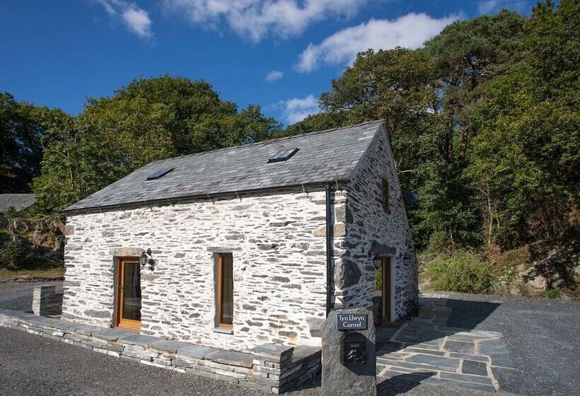 Tyn Llwyn Cornel