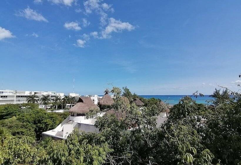 Embarcadero Maya B&b