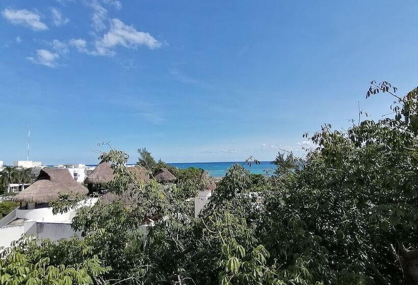 Embarcadero Maya B&b