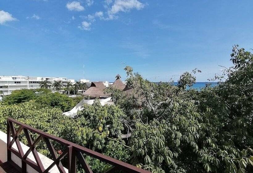 Embarcadero Maya B&b