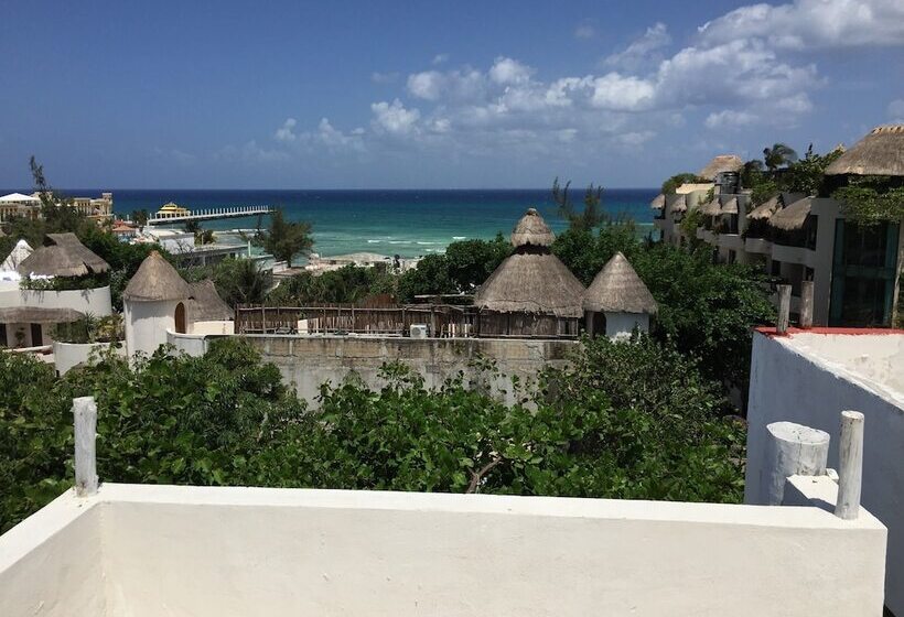 Embarcadero Maya B&b