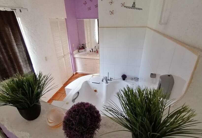 Embarcadero Maya B&b