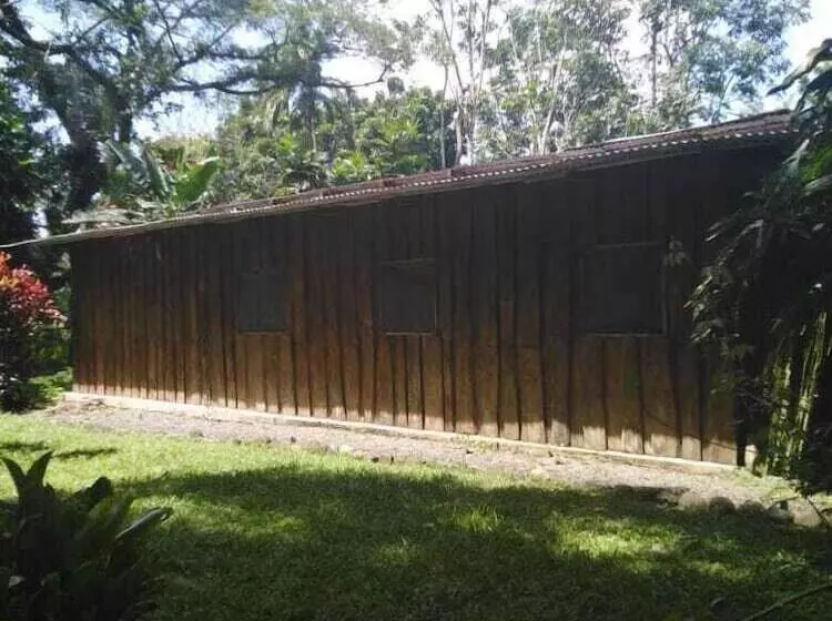 Finca Guarumo   Hostel