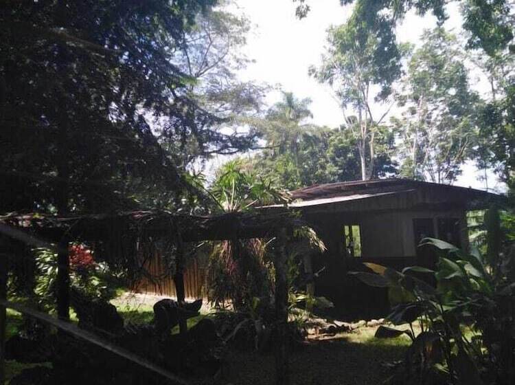 Finca Guarumo Hostel