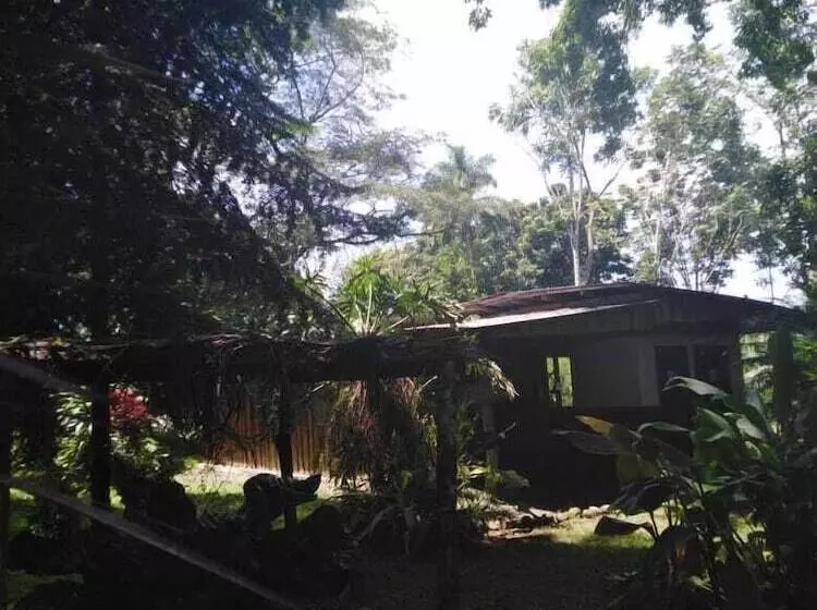 Finca Guarumo   Hostel