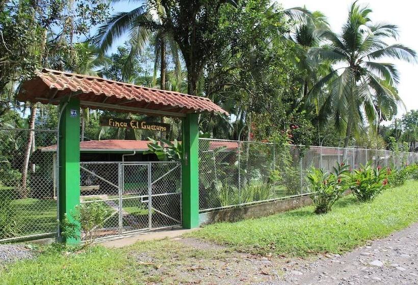 Finca Guarumo Hostel