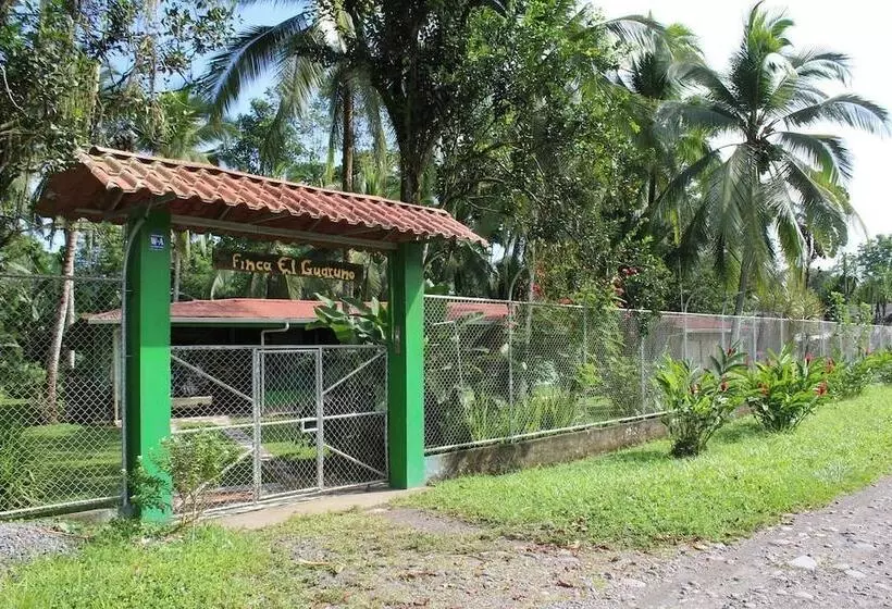 Finca Guarumo   Hostel