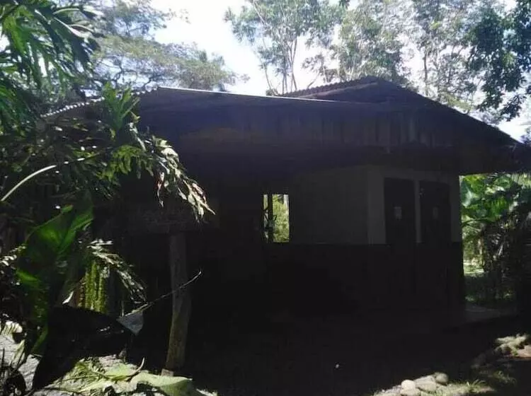 Finca Guarumo   Hostel