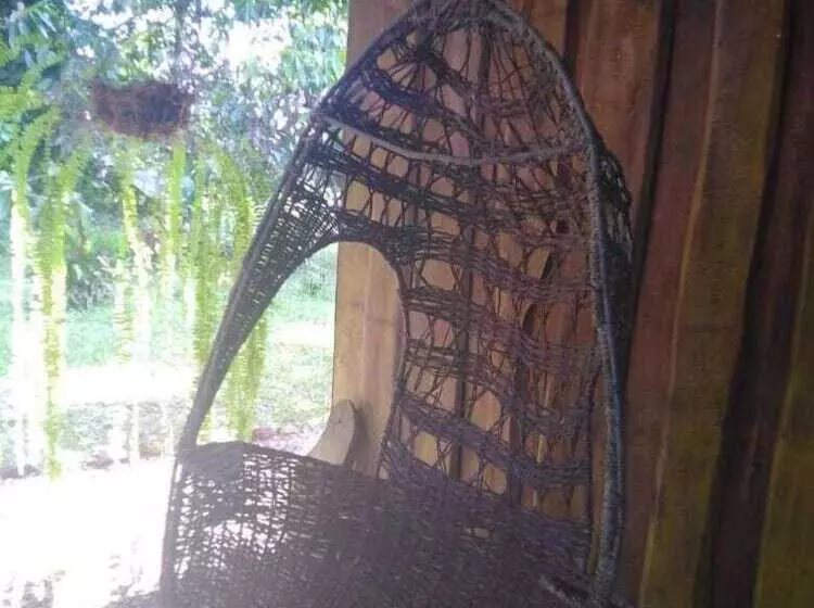 Finca Guarumo   Hostel