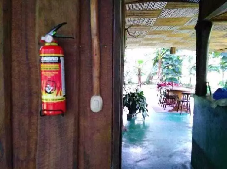 Finca Guarumo   Hostel