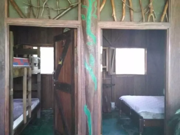 Finca Guarumo   Hostel