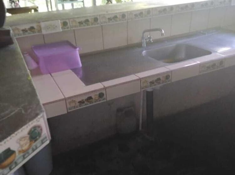 Finca Guarumo Hostel