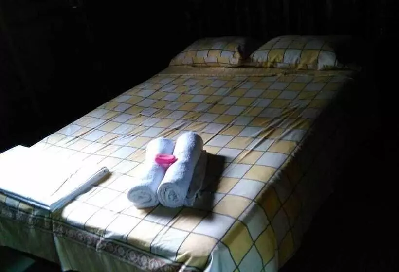 Finca Guarumo   Hostel