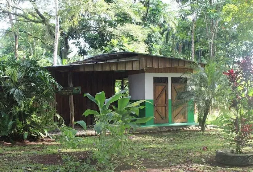 Finca Guarumo   Hostel