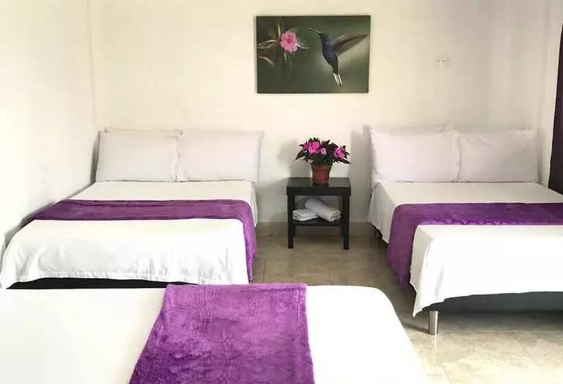 Finca Hotel La Marina