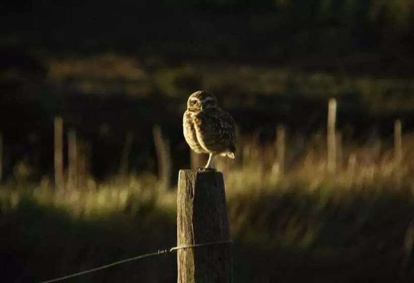 Hotelli Cabañas La Toscana