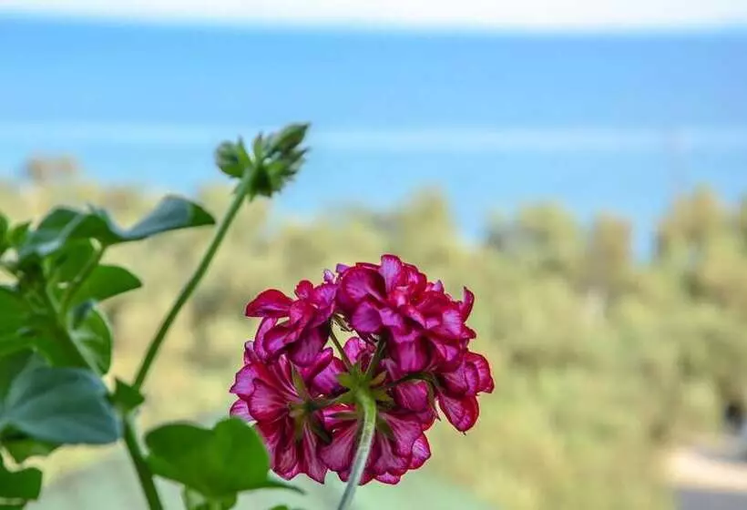 Hotelli Cakir Bungalov Evi