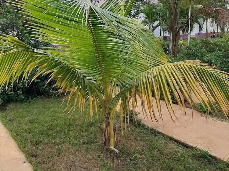 هتل Cumayasa