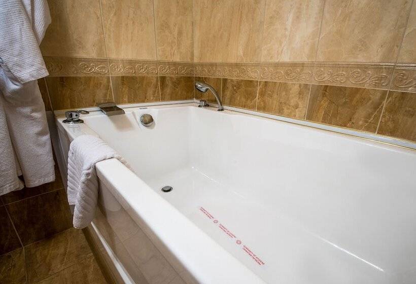 בית מלון כפרי De Paris