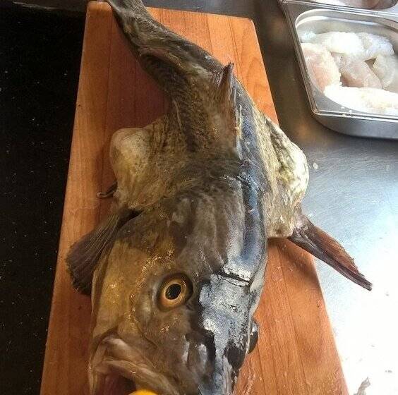 فندق Strandby Bade