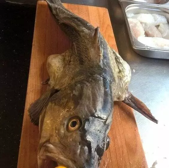 Hotelli Strandby Bade