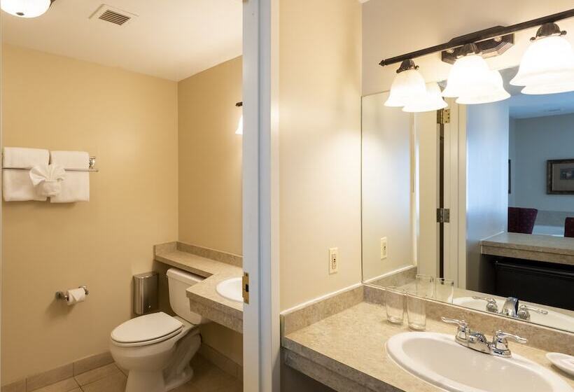 酒店 Vinifera Inn A Belhurst Property