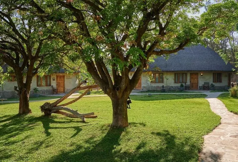 هتل Wild Dogs Lodge