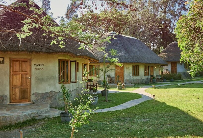 هتل Wild Dogs Lodge